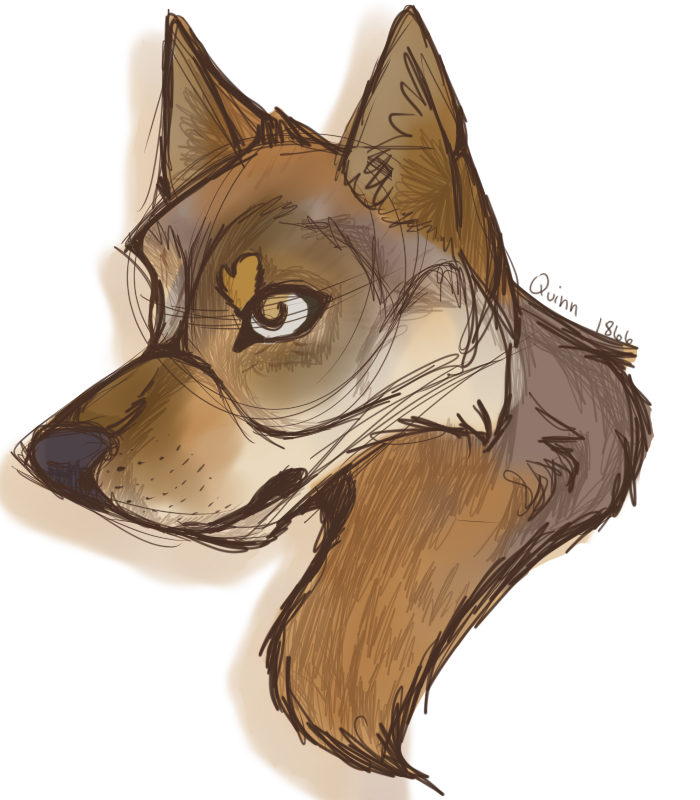 wolfy_wolf_by_basktball2022-d90rm8i.png