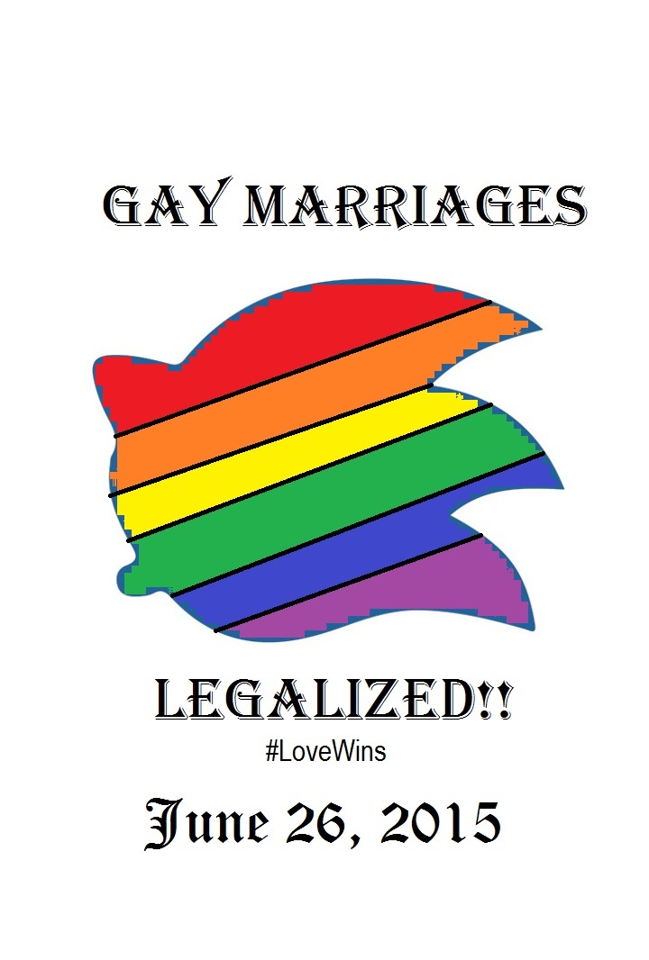 Gay Marriages Legalized 102