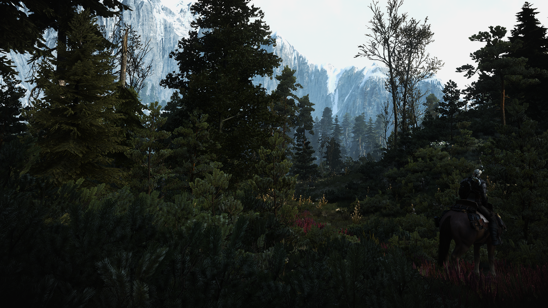 witcher3_2015_05_27_23_44_01_by_confidence_man-d8v2oa5.png