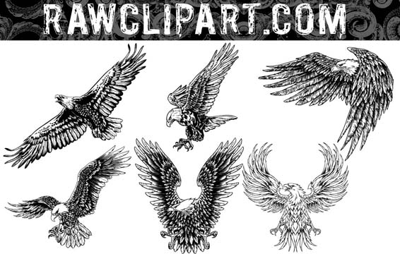 eagle vector clipart free download - photo #35