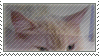 cats_stamps__3_by_felinemyth-d3itnh0.gif