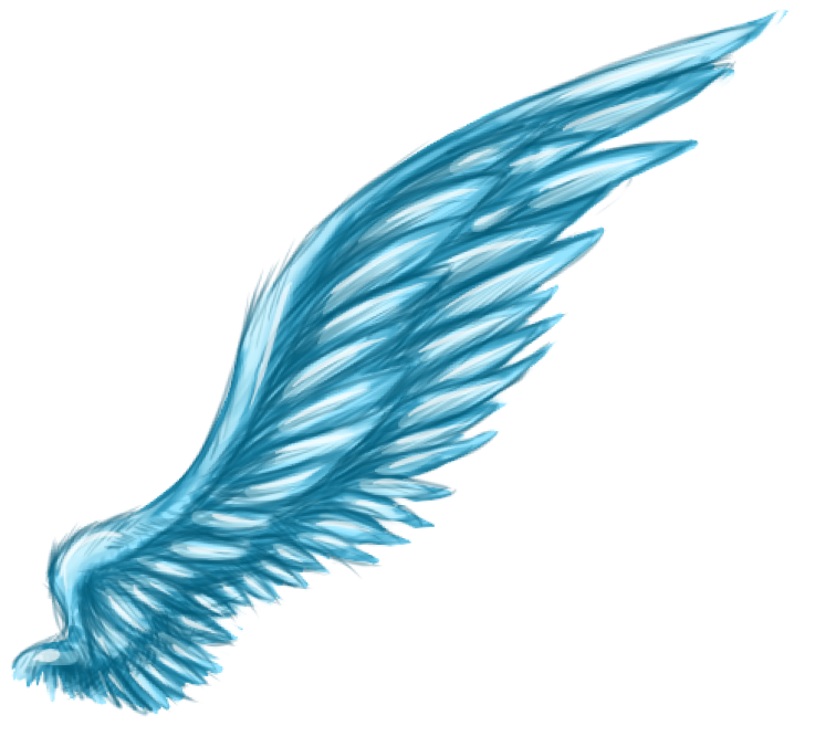 Blue Wings 9
