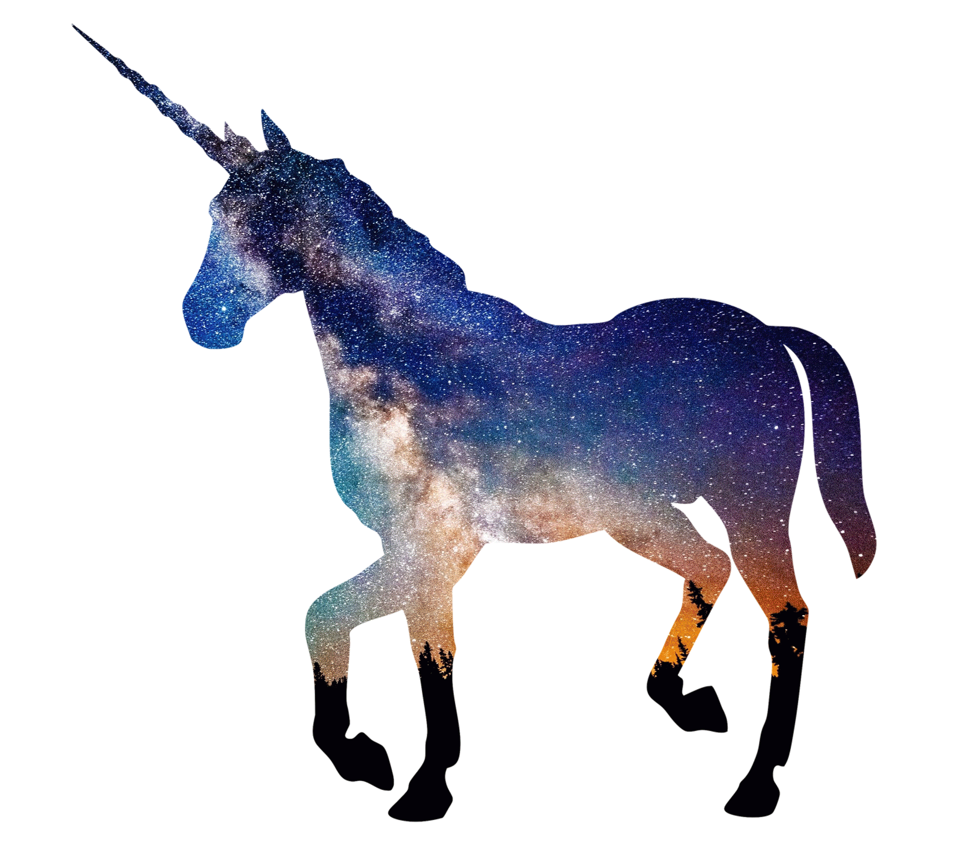 The Unicorn Avatar