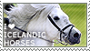 i_love_icelandic_horses_by_wishmasteralc