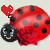 Red Ladybug by cutecolorful