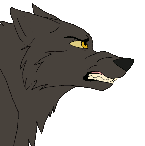 wolf growling animation by rolfwolf d4iu35y