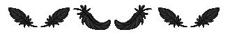 divider_feathers_black_by_soluxevitaeli-d8es8yt.png
