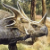 Styracosaurus [V.1]