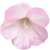 Flower icon.28