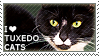 I love Tuxedo Cats by WishmasterAlchemist