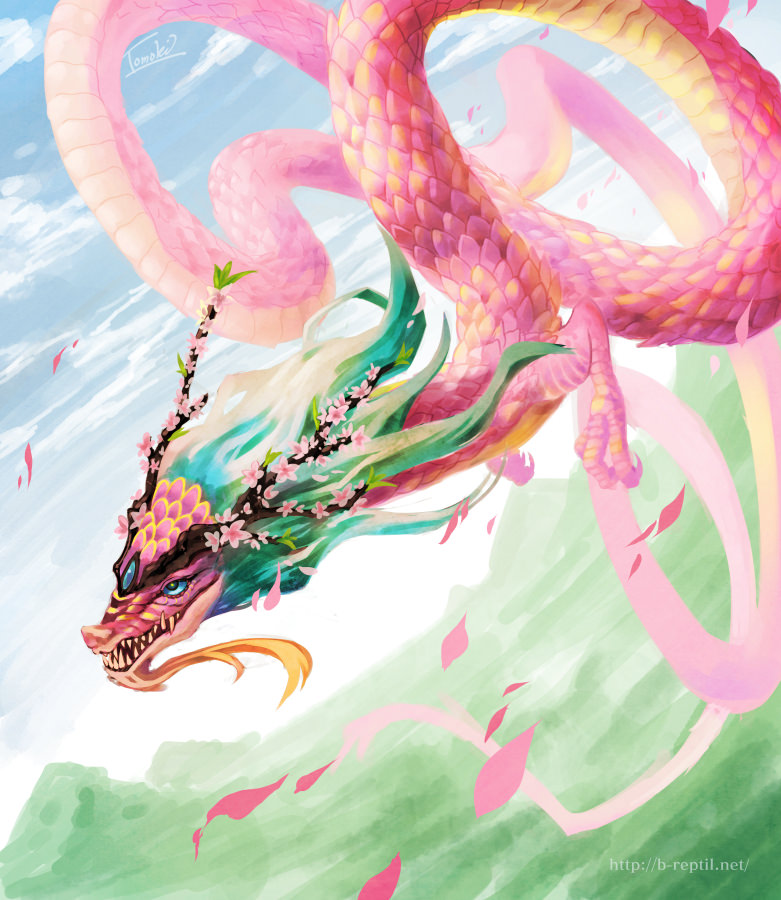 Pink dragon  