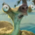 Ice Age 4 - Sid Salty Icon