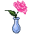 pink Rose in teardrop crystal vase dewless