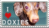 Doxie Stamp by dappledoxie