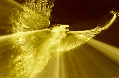 flight_of_the_golden_phoenix_by_shadowulf1-d3f20cl.jpg